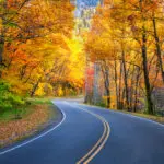 driving-in-pigeon-forge