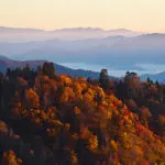 summer-night-deals-pigeon-forge