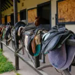 2012-saddle-up-pigeon-forge