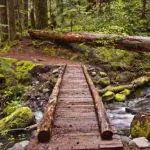 3-budget-friendly-adventures-in-pigeon-forge