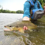 2014-fall-smoky-mountain-trout-tournament