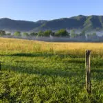 25-ways-to-celebrate-the-centennial-in-cades-cove