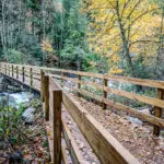 25-ways-to-celebrate-the-centennial-with-your-fitbit