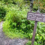 25-ways-to-celebrate-the-centennial-as-a-family
