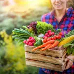 10-tastes-for-vegetarians-in-the-smokies