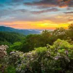 mountain-sunset-flowers-pigeon-forge