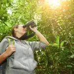 bird-watching-pigeon-forge