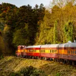 great-smoky-mountains-railroad