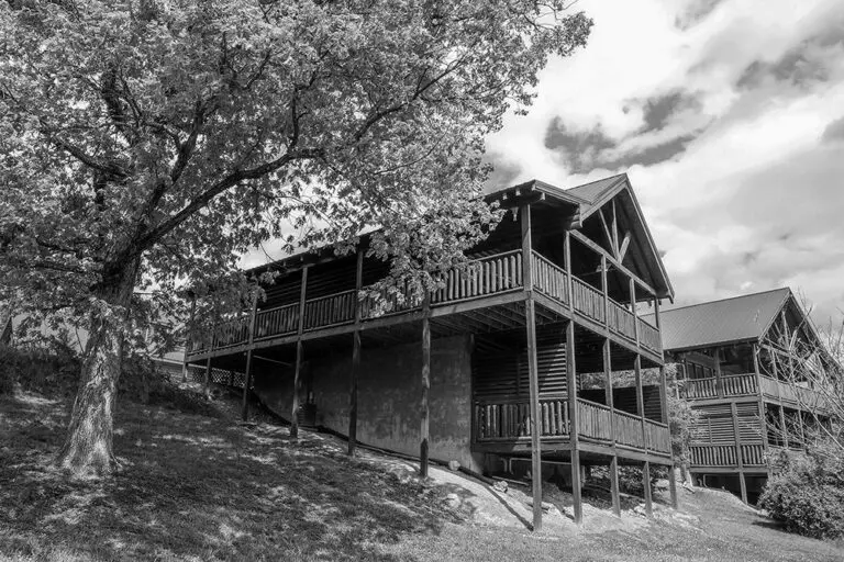 The Cozy Bear Cabin