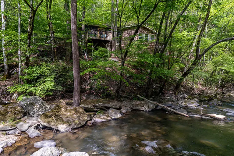 Up The Creek
