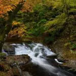 hiking-waterfall-pigeon-forge