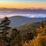 autumn-leaves-mountain-top