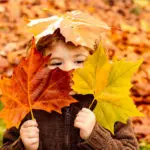 kid-fall-leaves