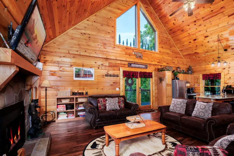 pigeon forge bear necessities featured