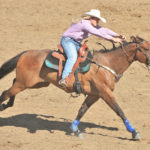 dixie-stampede-pigeon-forge