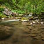 pigeon-forge-river-rocks-woods