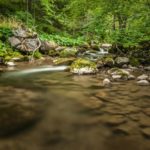 pigeon-forge-river-rocks-woods