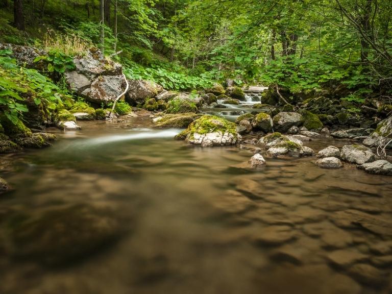 pigeon-forge-river-rocks-woods