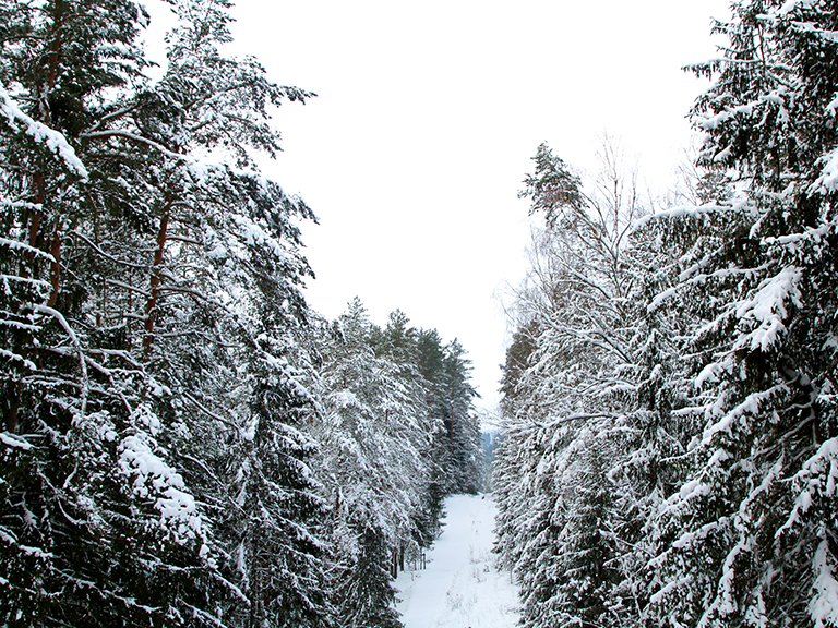 winter-carnival-of-magic-in-pigeon-forge