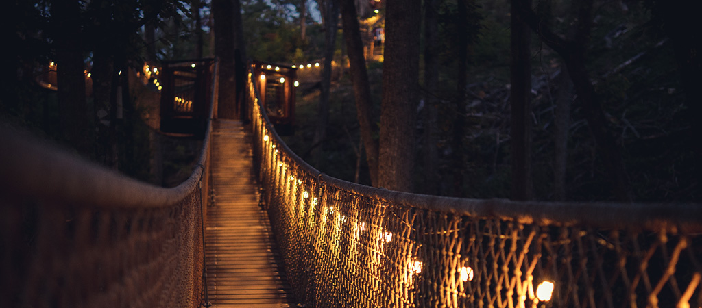 Things to Do in Pigeon Forge With Kids: Ultimate Family Fun Guide!