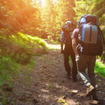 hiking-trail-through-woods