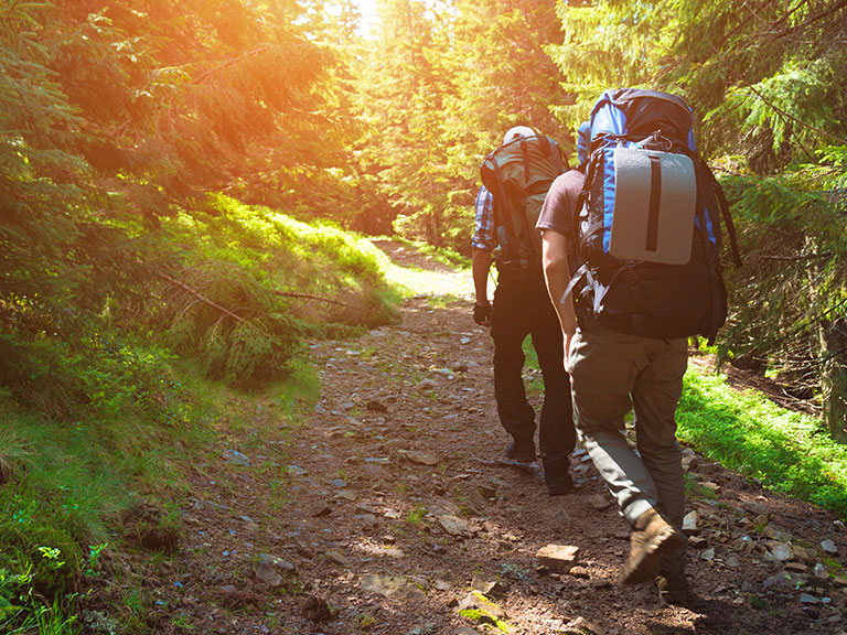 hiking-trail-through-woods