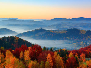 Seasons & Pigeon Forge Weather – When to Visit and Why - Pigeon Forge