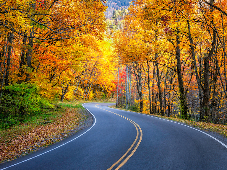 driving-in-pigeon-forge