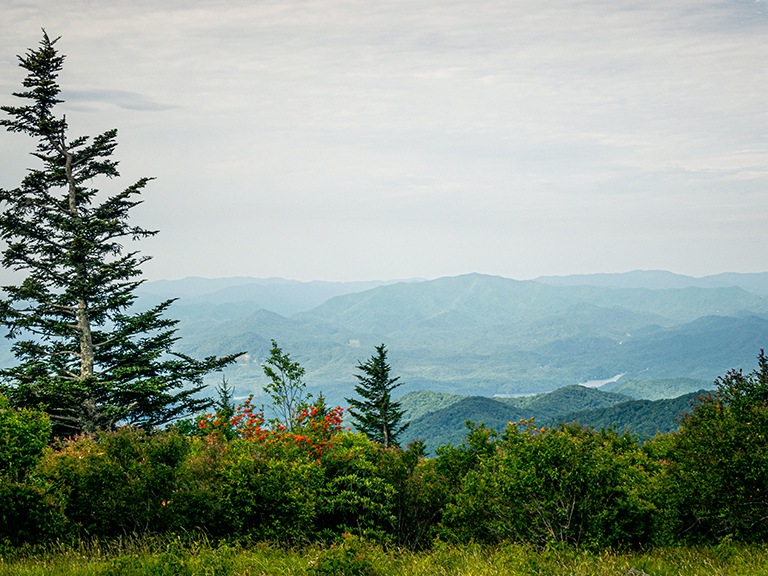 great-sights-to-see-in-smoky-mountains