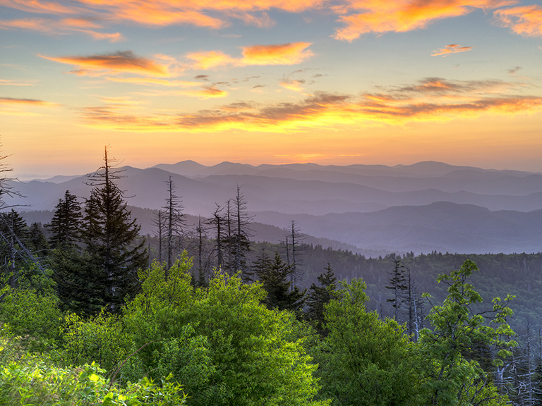 treasured-times-pigeon-forge