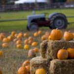 pigeon-forge-pumpkin-patch-tractor