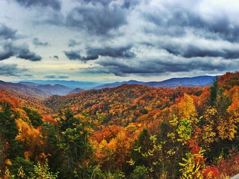 fall-foilage-pigeon-forge