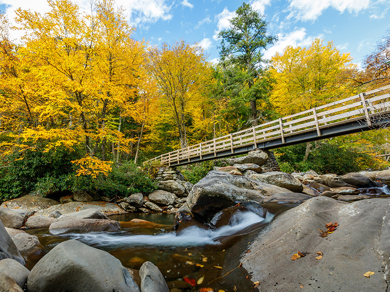 budget-friendly-family-vacation-in-pigeon-forge