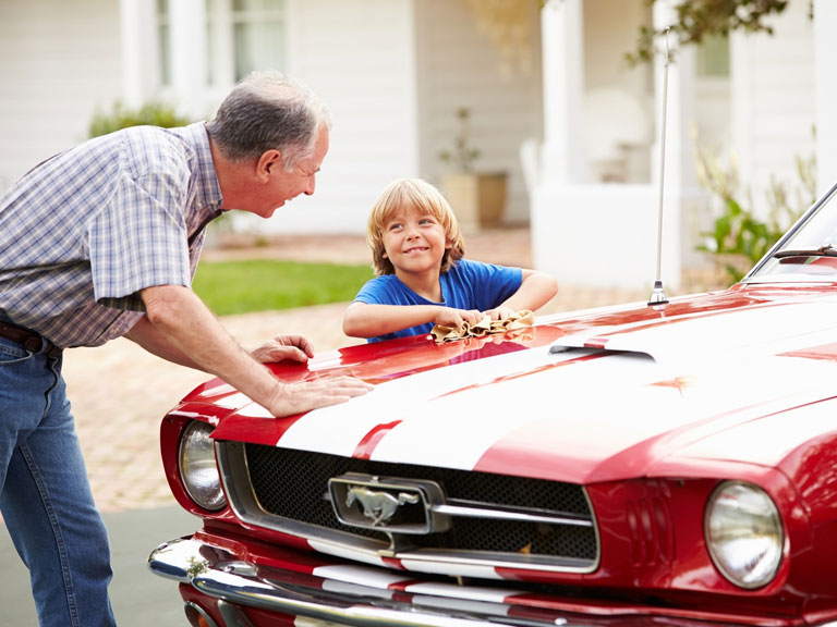7 Car Shows You Don't Want to Miss Pigeon TN Cabins