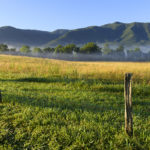 25-ways-to-celebrate-the-centennial-in-cades-cove