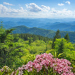 smoky-mountain-spring-day