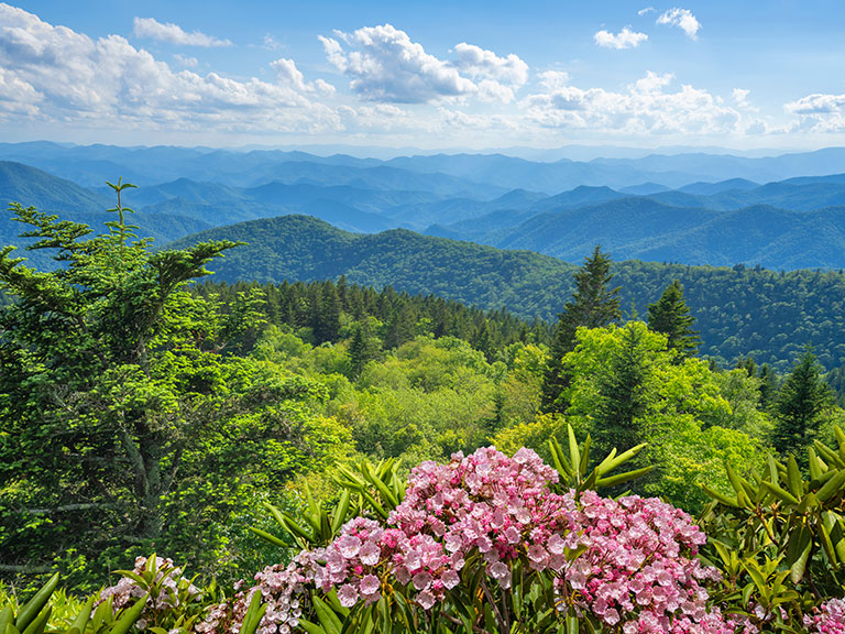 smoky-mountain-spring-day