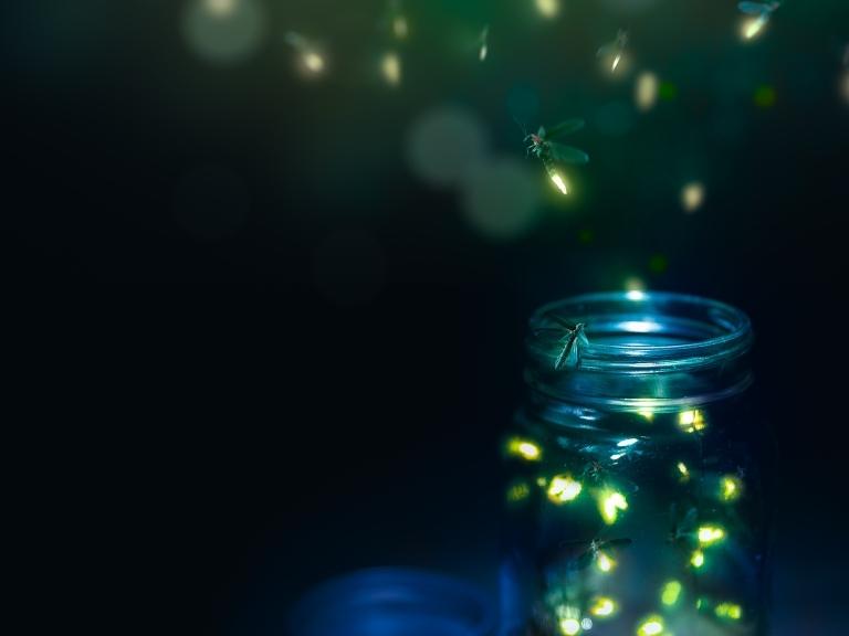 pigeon-forge-fireflies-glass-jar