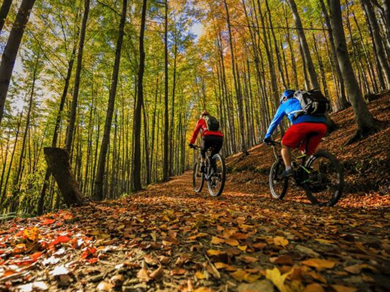 Bike the smokies online
