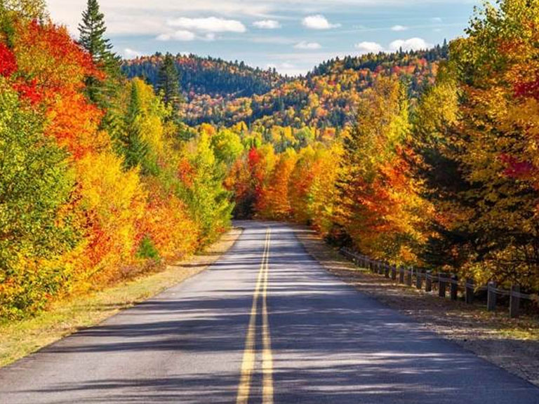 Fall Colors In The Smokies What To Do Beyond The Leaves