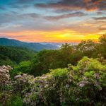 mountain-sunset-flowers-pigeon-forge