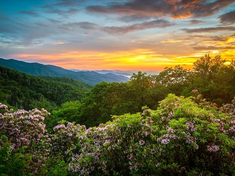 spring-time-events-pigeon-forge