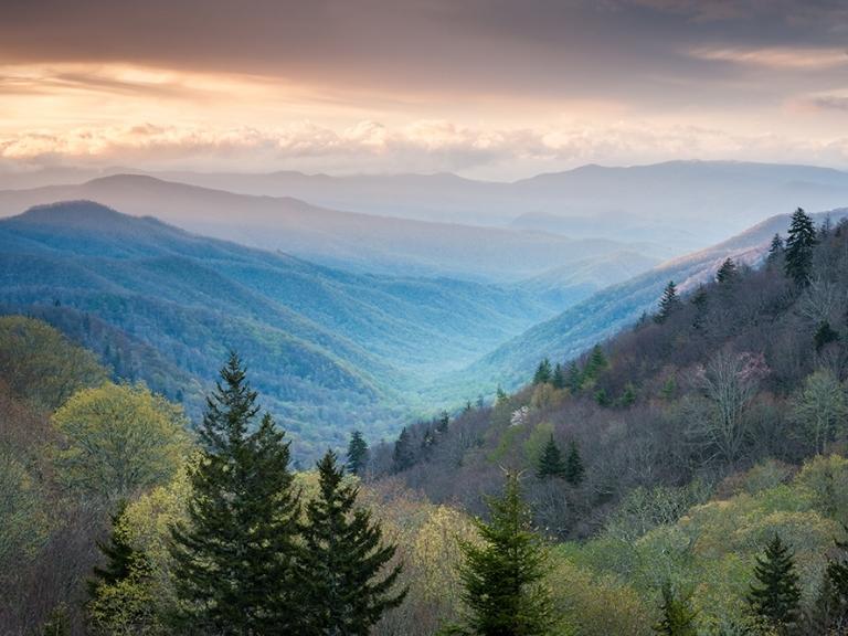 celebrating-gatlinburg-pigeon-forge