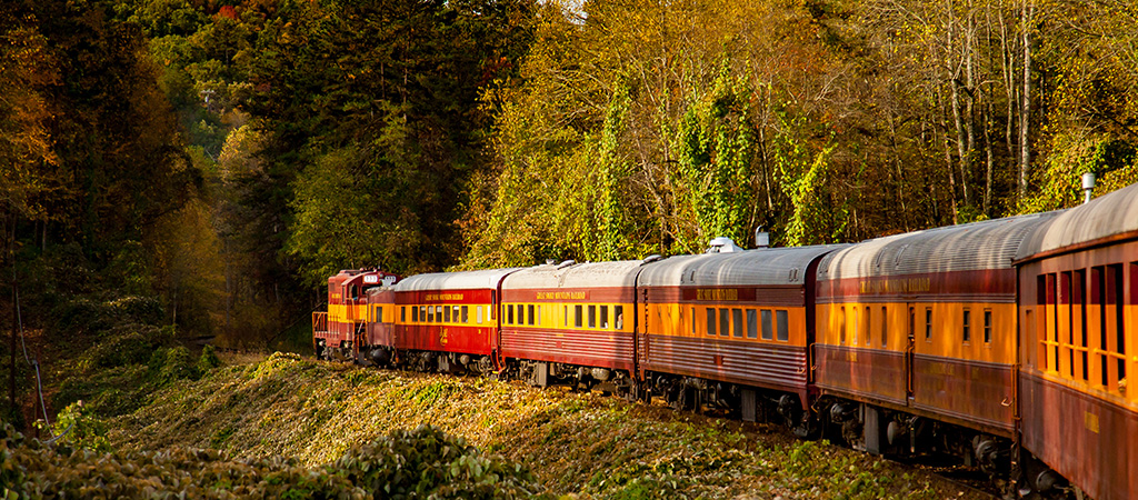 hop-aboard-the-great-smoky-mountain-railroad