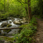 hiking-in-pigeon-forge