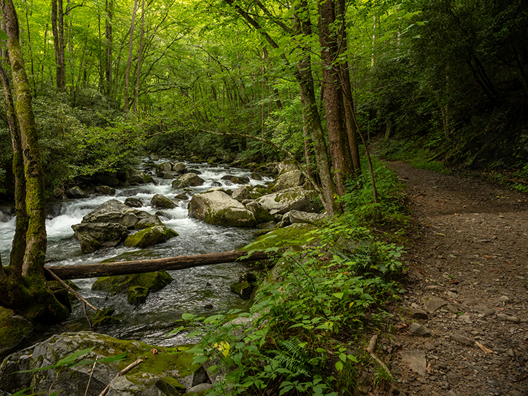 hiking-in-pigeon-forge