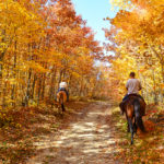 horseback-riding-experiences-pigeon-forge