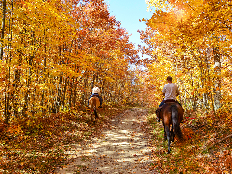 Top 5 Horseback Riding Experiences in Pigeon Forge, TN | Pigeon Forge TN  Cabins