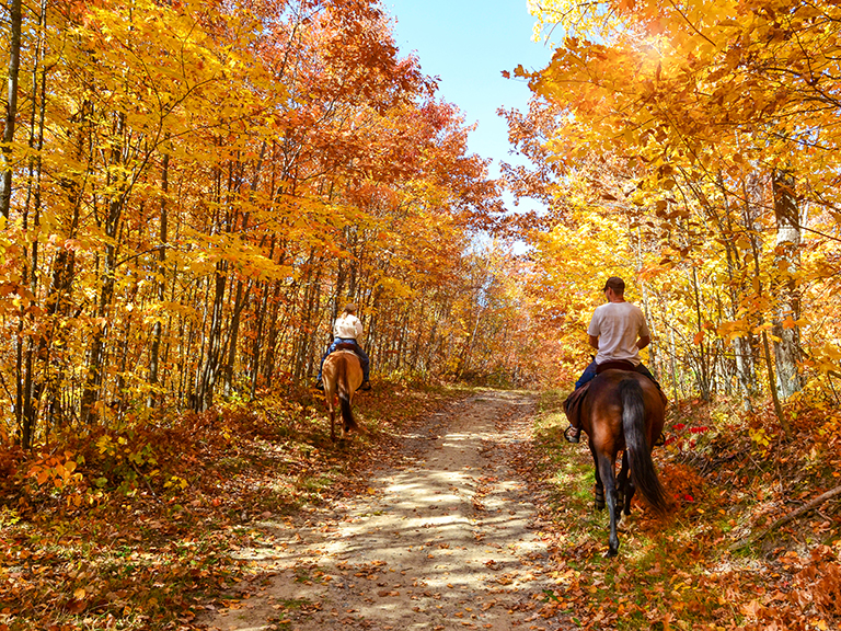 horseback-riding-experiences-pigeon-forge