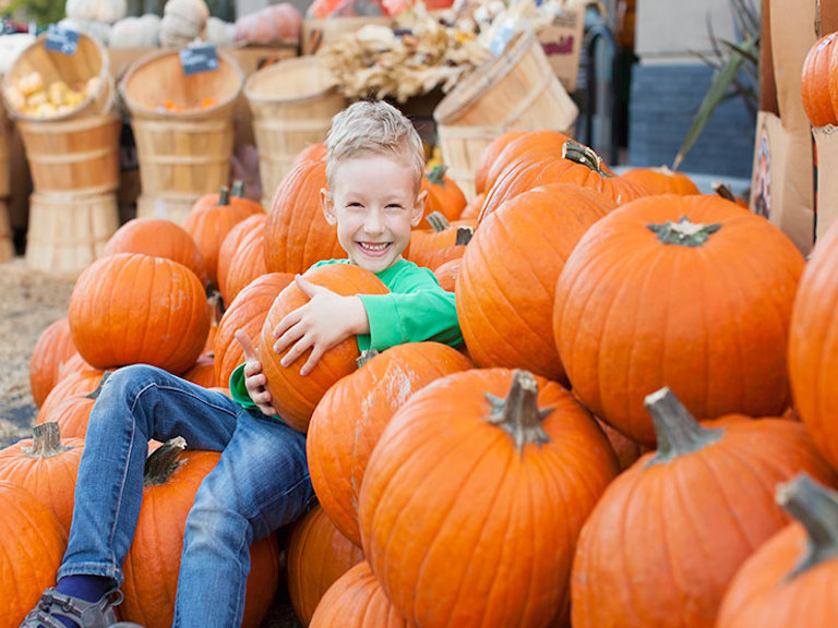 child-pumpkin-patch-pigeon-forge